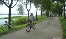 骑行吃瓜最新事件爆料,揭秘网络热议背后的真相与争议